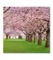 Cuadro decorativo primavera paisaje flores