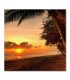 Cuadro playa tropical con atardecer y palmeras