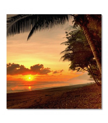 Cuadro playa tropical con atardecer y palmeras