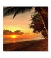 Cuadro decorativo impreso atardecer playa puesta sol palmera