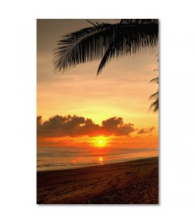 Cuadro playa tropical con atardecer y palmeras