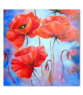 Cuadro flores rojas amapola