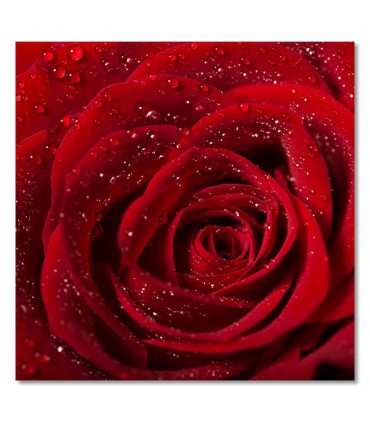 Cuadro flor rosa roja