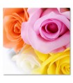 Cuadro decorativo impreso flor rosa colores