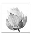 Cuadro flor decorativo impreso blanco negro
