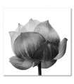 Cuadro flor decorativo impreso blanco negro