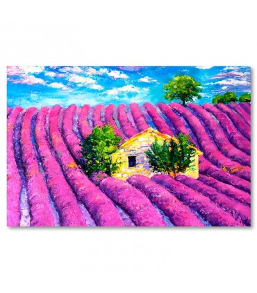 Cuadro campo lavanda