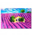 Cuadro decorativo impreso campo lavanda