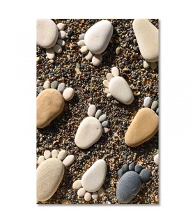 Cuadro huellas piedras