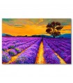 Cuadro decorativo impreso campo lavanda