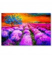 Cuadro decorativo impreso campo lavanda