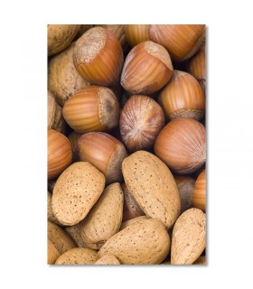 Cuadro almendras y avellanas