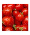 Cuadro de tomates cherry
