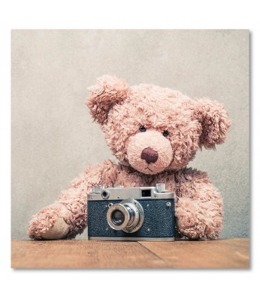Cuadro infantil oso con equipo de fotos