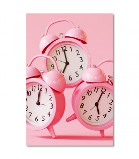 Cuadro despertadores rosas