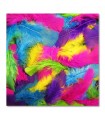 Lienzo plumas multicolor con textura suave