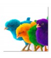 Lienzo pollitos de colores brillantes