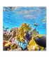 Cuadro arrecife tropical con peces de colores