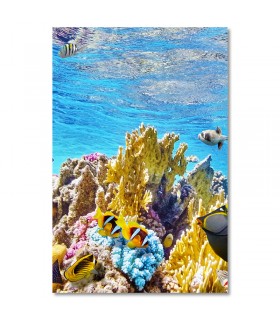 Cuadro arrecife tropical con peces de colores