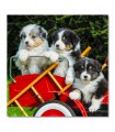 Lienzo cachorros en carrito rojo