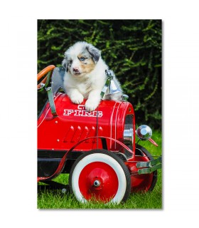 Cuadro cachorros en carrito rojo