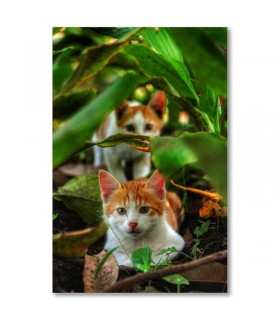 Cuadro gatitos naranjas entre hojas