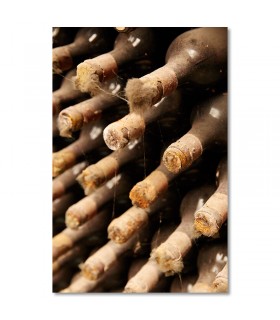 Cuadro botellas de vino envejecido en bodega antigua