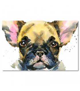 Cuadro bulldog frances en acuarela