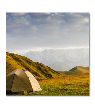 Cuadro tienda al amanecer entre vegetacion natural