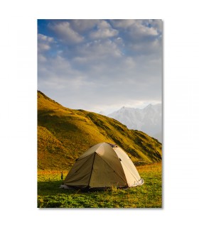 Cuadro tienda al amanecer entre vegetacion natural