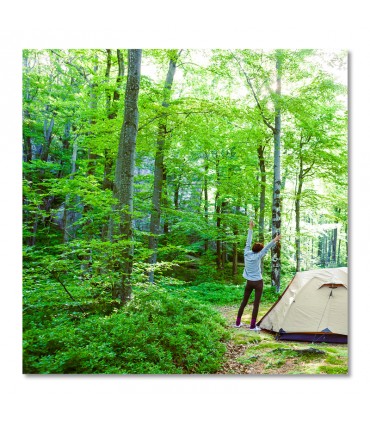 Cuadro bosque con tienda de acampada