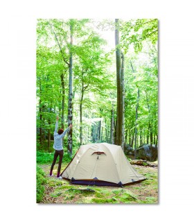 Cuadro bosque con tienda de acampada