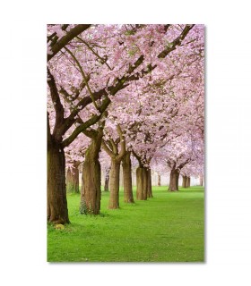 Cuadro paseo bajo arboles rosados en flor