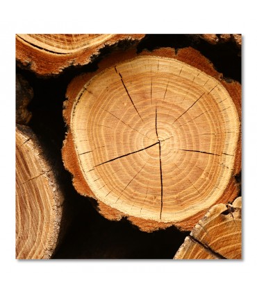 Cuadro corte de tronco con textura natural