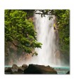 Cuadro cascada tropical y vegetación exuberante