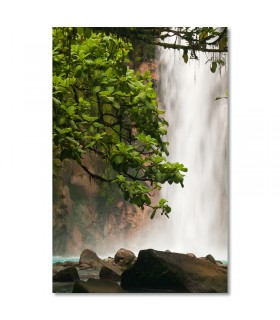 Cuadro cascada tropical y vegetación exuberante