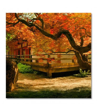 Cuadro con árbol rojo oriental en jardín