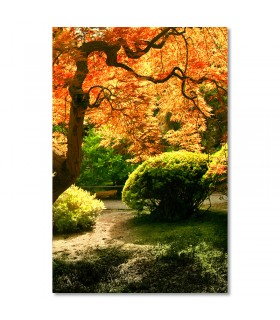 Cuadro con árbol rojo oriental en jardín