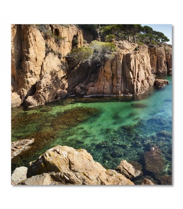 Cuadro cala de aguas cristalinas en la costa