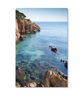 Cuadro cala de aguas cristalinas en la costa