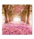 Cuadro camino de árboles y flores rosadas
