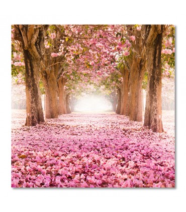 Cuadro camino de árboles y flores rosadas