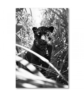 Cuadro felino entre la maleza en blanco y negro