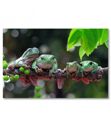 Cuadro ranas verdes sobre rama tropical