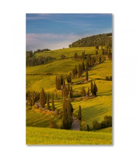 Cuadro paisaje con cipreses y carretera