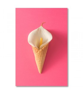 Cuadro flor helado sobre fondo rosa
