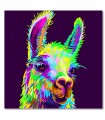 Cuadro llama color flourescente fondo oscuro