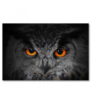 Cuadro búho ojos naranja penetrantes