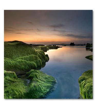 Cuadro rocas verdes con agua tranquila