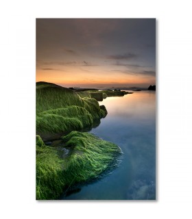 Cuadro rocas verdes con agua tranquila
